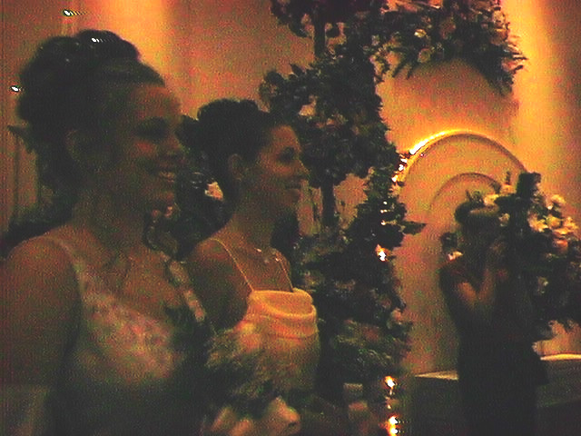 Bride's maids 2