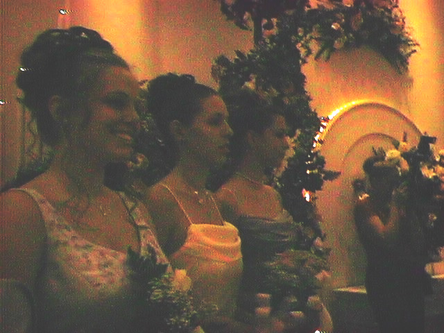 Bride's maids 3
